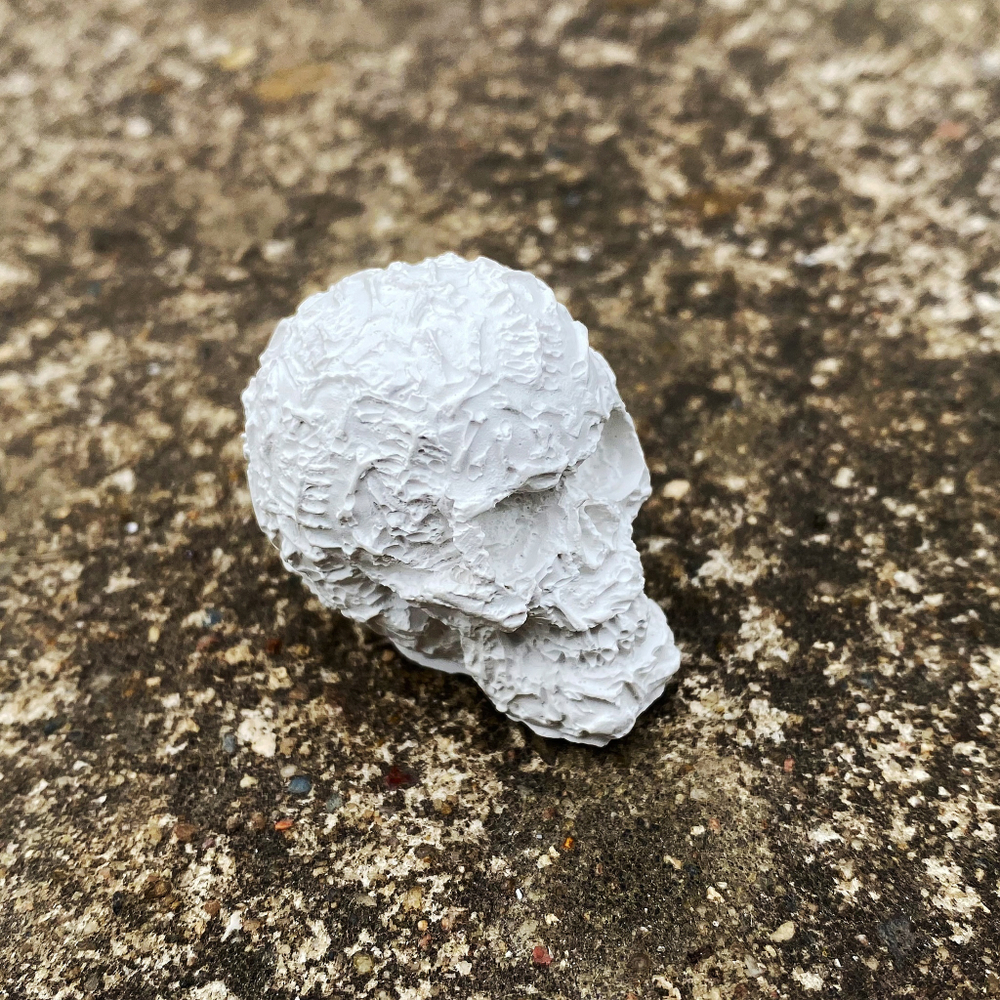 Череп дизайнерский для муравьиной фермы