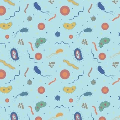 Вирусы, бактерии