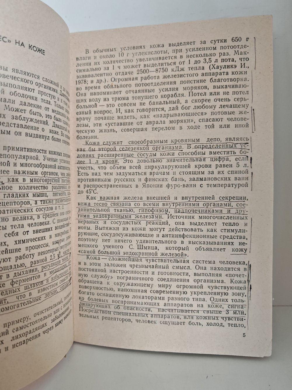 Экстерорецепторы кожи (Некоторые вопросы локальной диагностики и терапии)