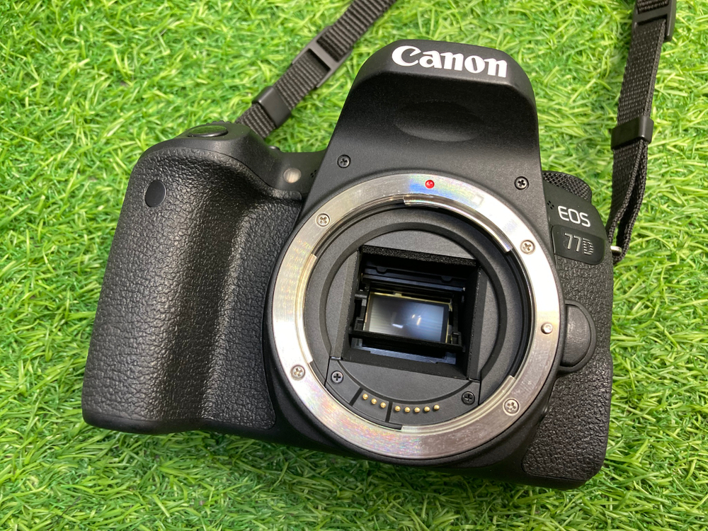 Canon EOS 77D (2.100 кадров)