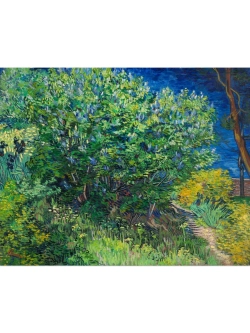 Картины-наклейки на стену для декора интерьерные №43