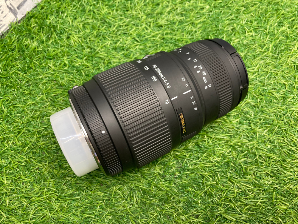 Sigma AF 70-300mm 4-5.6 APO Macro DG Nikon F