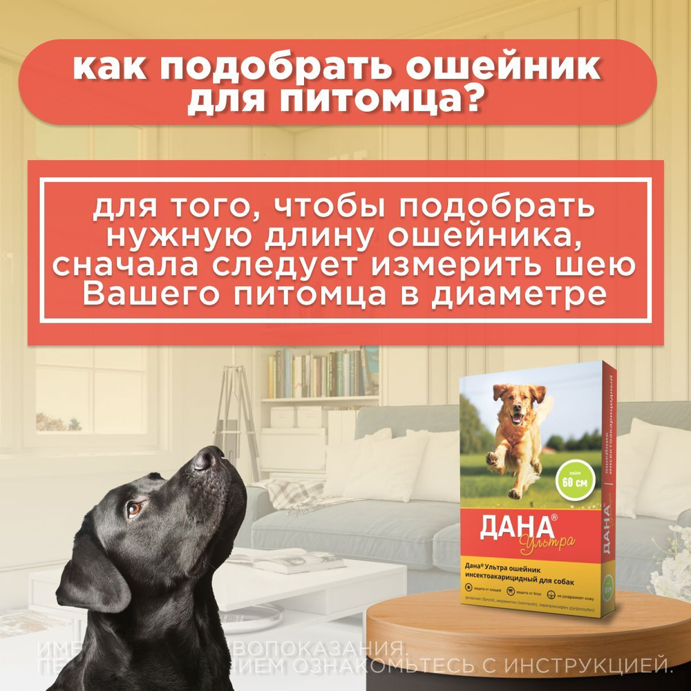 Ошейник от блох, клещей, вшей и власоедов Дана Ультра для собак Светло-зеленный, 60см