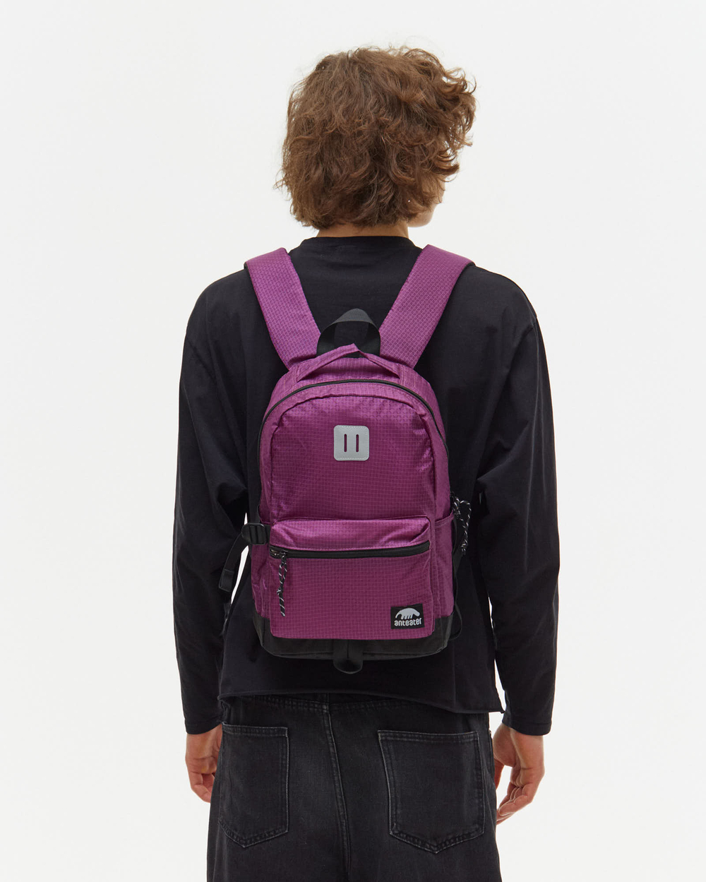 Рюкзак Anteater Nano-RST-Violet