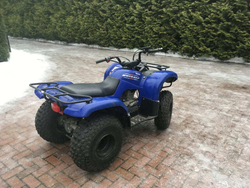 Квадроцикл GRIZZLY 125