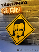 Табличка декоративная "Мэрилин Мэнсон, Marilyn Manson" на дверь и стену, прикольная штука в подарок, декоративный знак, 24,5х24,5 см, пластиковая, Айдентика Технолоджи