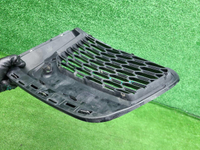 Решетка перед. бампера BMW 7er G11 (19-22) M-paket