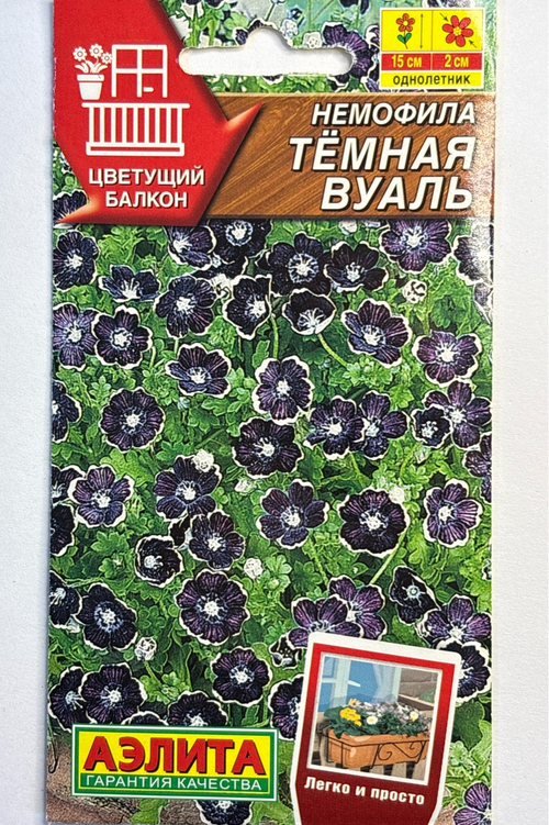 Немофила Темная вуаль СМЦ-804