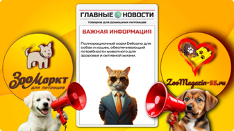 Delicana, знакомство с брендом!