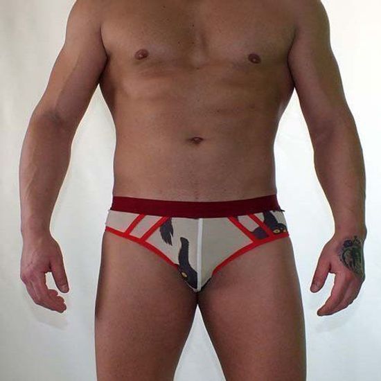 Мужские трусы брифы бежевые с принтом Van Baam