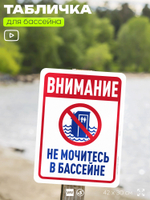 Табличка для бассейна "В бассейн не дудонить", на пляж, для общественной и частной зоны отдыха, информационная, 40х30 см, Silver Plane x Айдентика Технолоджи
