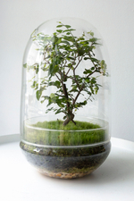 Экосистема Shell