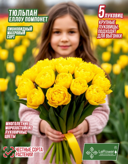 Тюльпан Луковица, Еллоу Помпонет 5шт, разбор 11+
