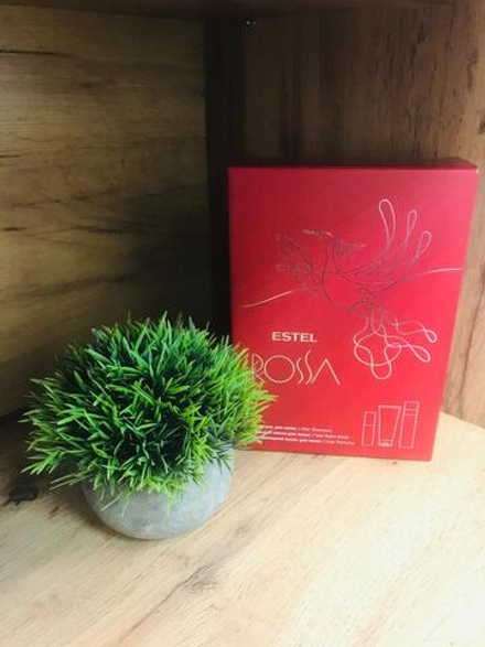 Набор для волос ESTEL ROSSA