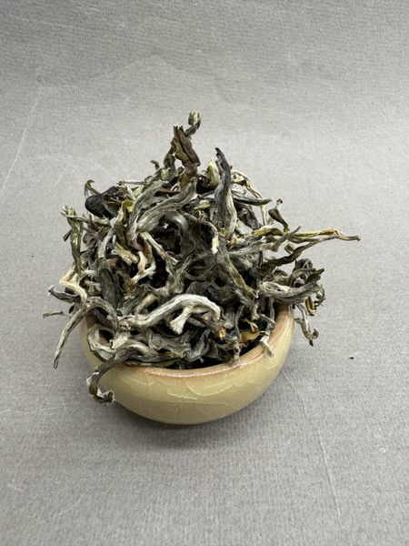 Шен со старых лесных деревьев