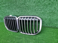 Решетка радиатора BMW X7 G07 (2019-2022)