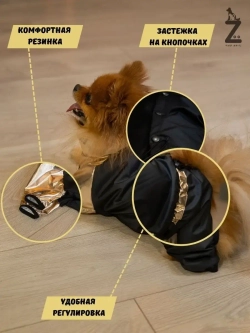 Комбинезон для мелких и средних собак