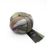 Schoppel Zauberball Crazy - 2170 (Not the Foggiest)