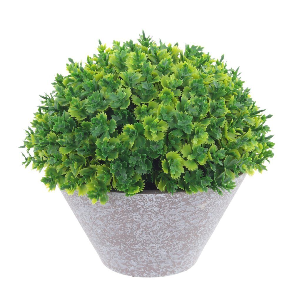 GAEM Цветочная композиция, L13 W13 H13 см, 5в.