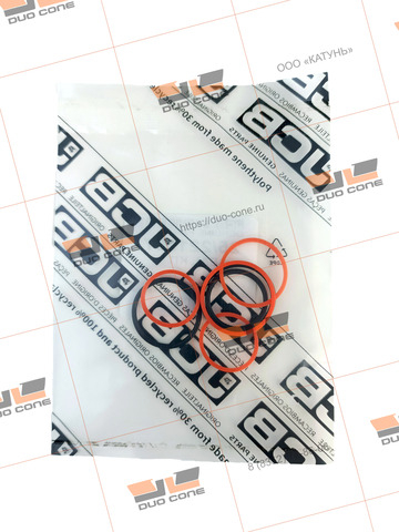 Ремкомплект (seal kit) 25/221907 JCB
