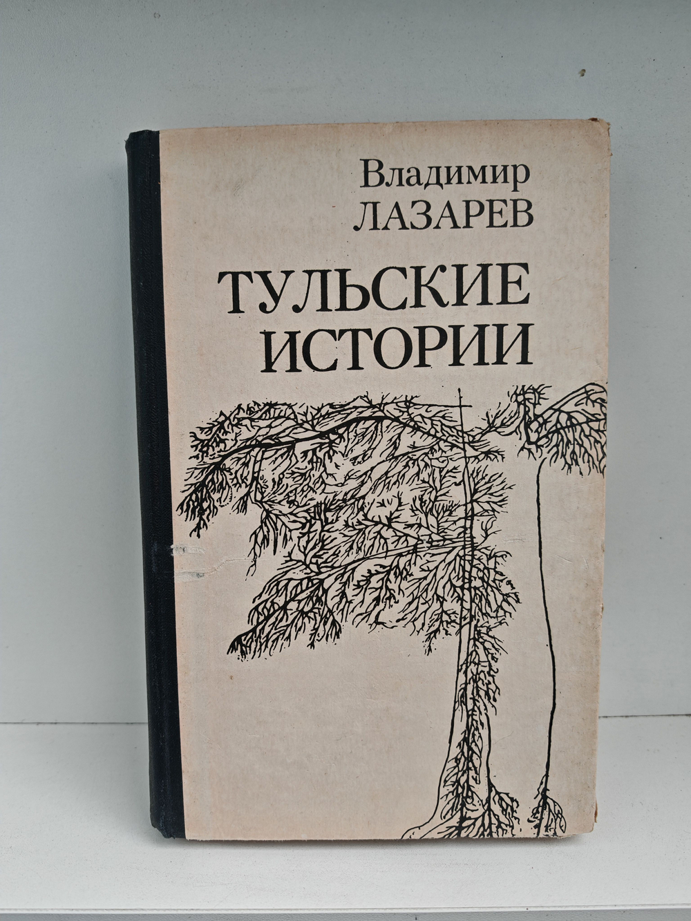 Тульские истории