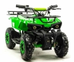 Электроквадроцикл Motoland ATV E008 800Вт