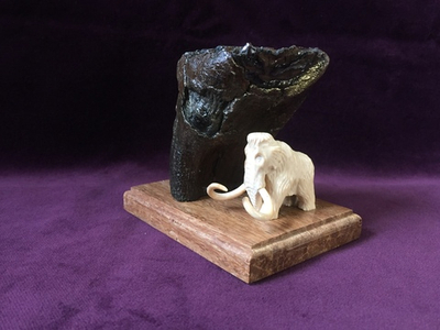 Мамонт у зуба