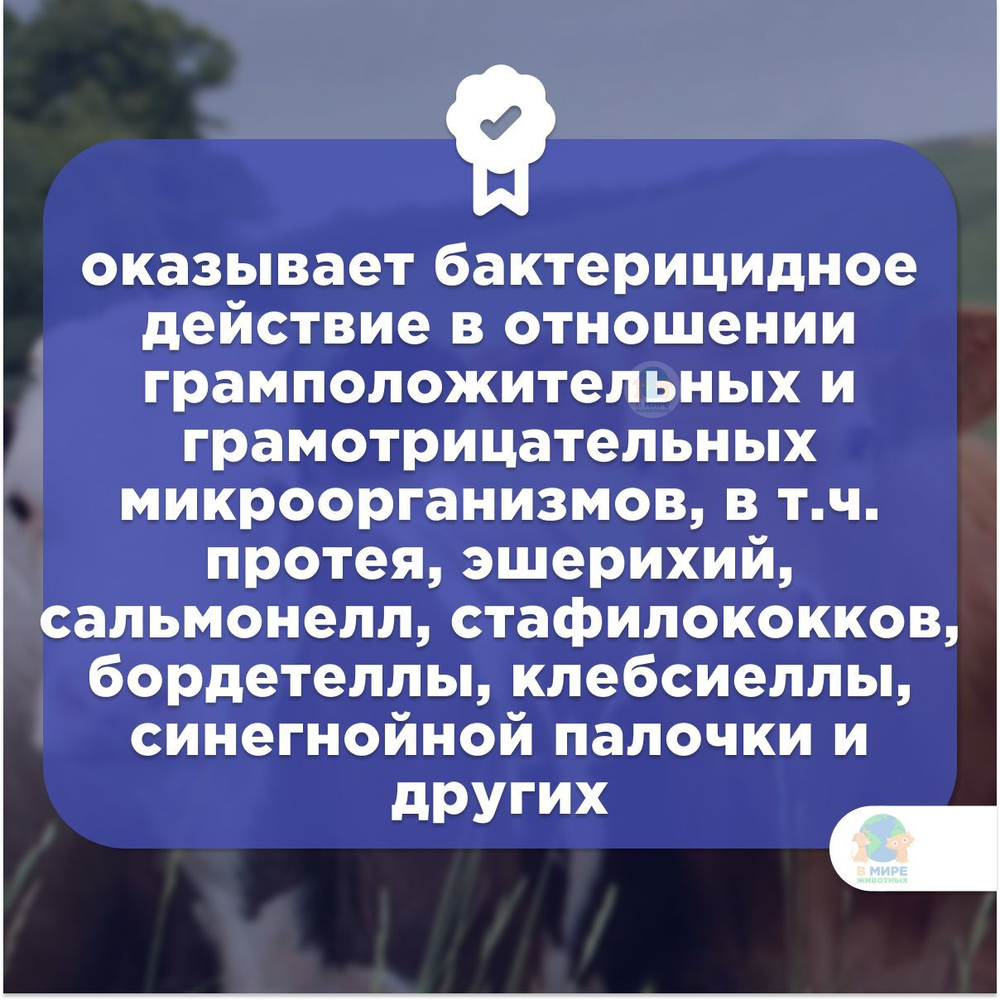 МОСАГРОГЕН Эндометрамаг-К, раствор для внутриматочного введения, для КРС, 1 л. Гентамицин.