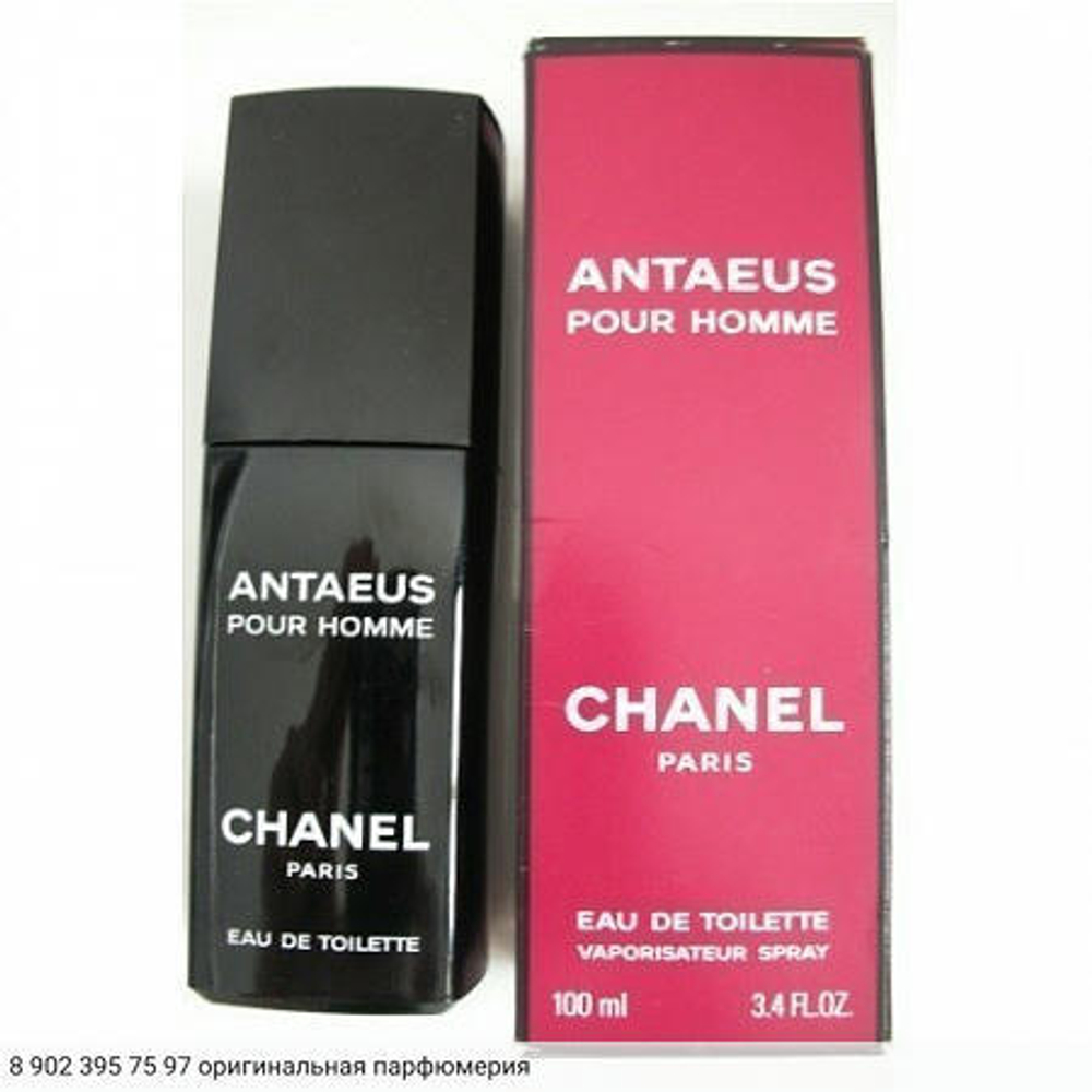 Antaeus