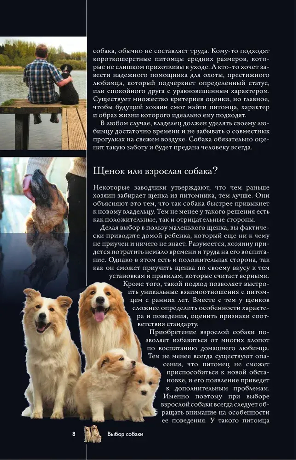 Собаки. Популярный иллюстрированный гид