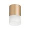 Комплект с потолочным светильником Lightstar Rullo (213490+202481) R349081