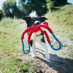 Игрушка-перетяжка RopeTugz Обезьянка ZippyPaws