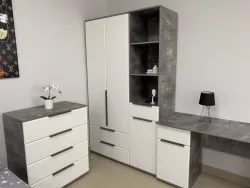 МС "Лео" Шкаф 2-ств. с 2 ящиками (Айрон рок/Белый), Велес