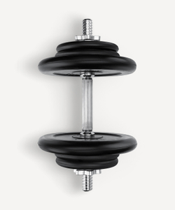 Гантель разборная обрезиненная в коробке DB-716, 16 кг