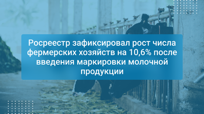 Росреестр зафиксировал рост числа фермерских хозяйств на 10,6% после введения маркировки молочной продукции