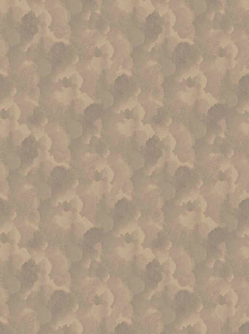 Ковровое покрытие Ege Nuages gris beiges RF52952704 750 WT