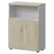 Шкаф СМШ-38Д2 Тип2  792x380x1214 Смарт