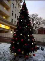 Уличная елка ствольная "Альпийская сосна" (леска) от 3 до 22 м