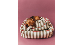 Лежак для животных Zara Home, в полоску с кантом, 50 40 18 см