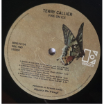 Terry Callier / Fire On Ice (LP)
