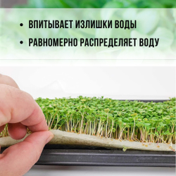 Агровата для выращивания микрозелени набор 10шт / 17*10*2 см /субстрат для выращивания микрозелени и растений
