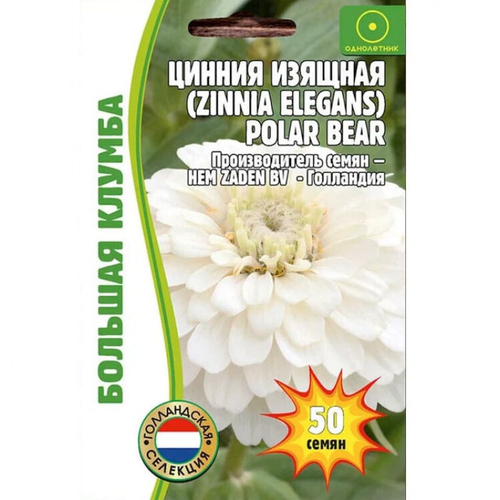 Цинния изящная Polar Bear