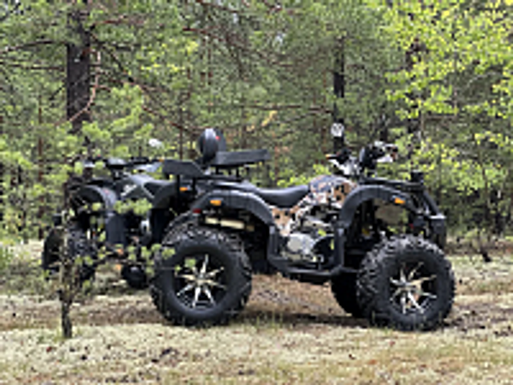 Квадроцикл PROMAX 320 DOMINATOR PRO (2025)