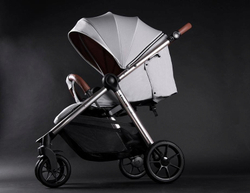 Детская прогулочная коляска Coletto Jazzy Rose Grey