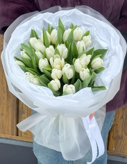 Букет белых тюльпанов (23 шт)