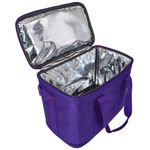 Термосумка 151