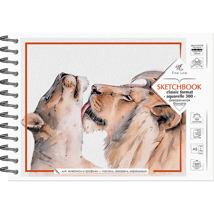 Блокнот-скетчбук Fine Line classic format A5 12 листов на металлическом гребне