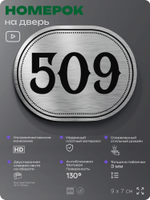 Номерок на дверь квартиры 509, для кабинета, офиса, шильдик 9 х 7 см, серебристый, Айдентика Технолоджи