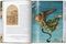 Raphael. Paintings, Frescoes, Tapestries. 45th Ed. (45th Edition)