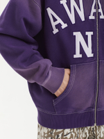 Мужская Толстовка Collegiate Arch Zip